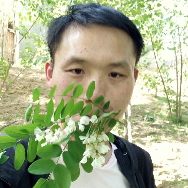 爱周口的第一张照片--周口王婆说媒